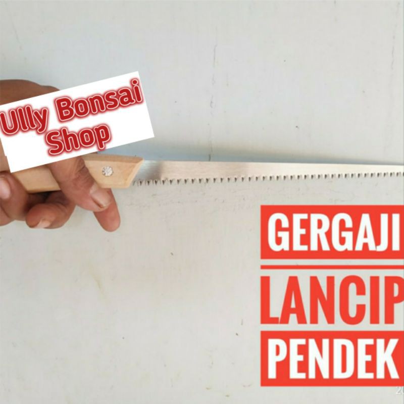 GERGAJI BONSAI LANCIP PENDEK