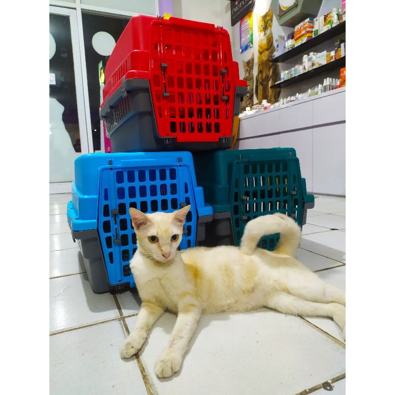 Pet Cargo Ukuran M / Canel Box cat &amp; Dog Ukuran 50 × 35 × 31cm