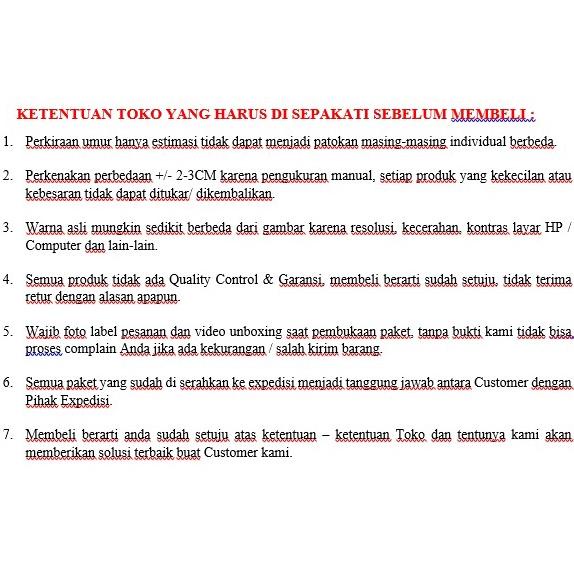 Sh2-Sepatu Pesta Anak Perempuan Import Mutiara Rhinestone