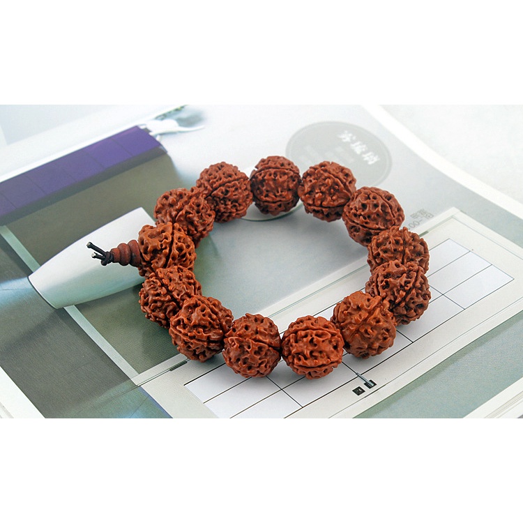 S55 Jingang shade tree biji manik-manik gelang diameter 16mm gelang