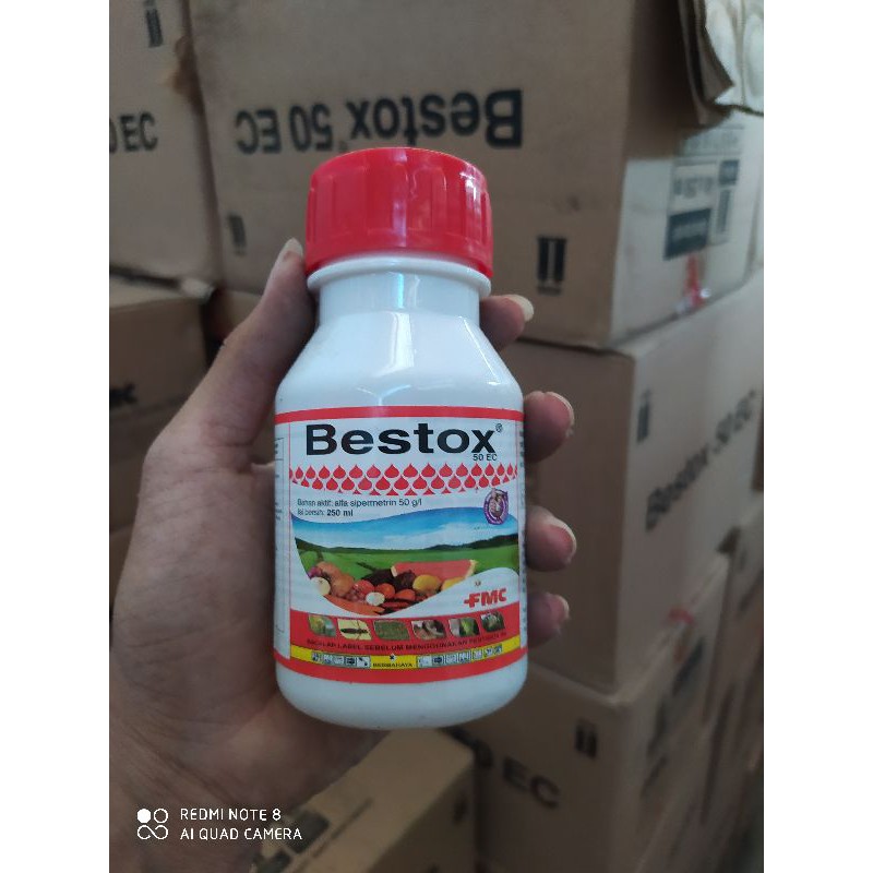 Bestox 50EC - 250ml