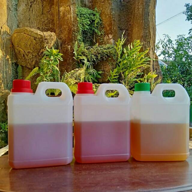 

Madu Murni Peras (Raw Honey) 1000 gr / 1 kg