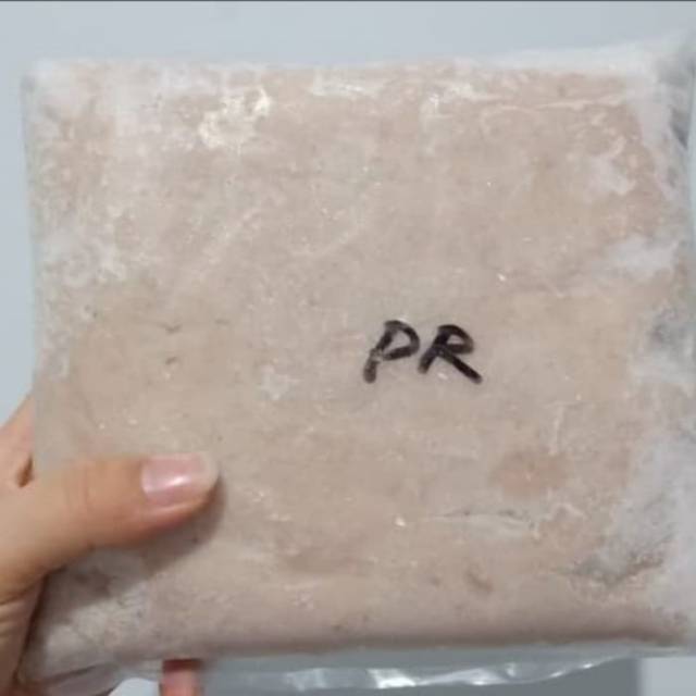 IKAN PARANG PARANG GILING