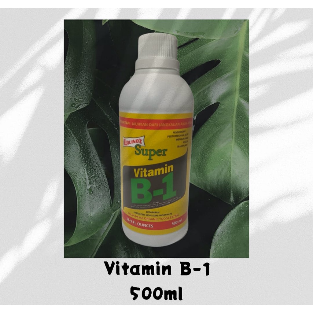 Vitamin B1 Tanaman LIQUINOX SUPER 500 ML / Vitamin Anti Stres