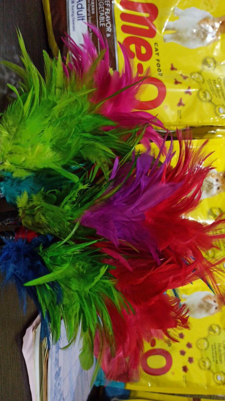 Kemoceng Bulu Ayam Warna Warni 3 In 1 - Peralatan Alat Rumah Tangga Kerajinan Tangan Sulak Bulu Ulu