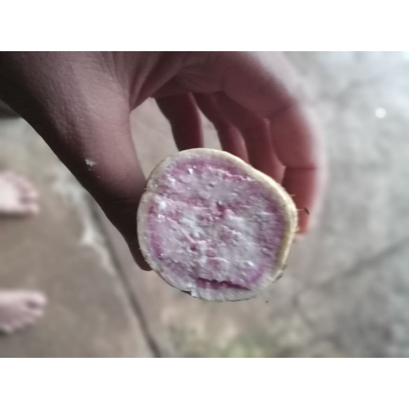 

UMBI UNGU /buah ubi ungu 1kg PROMO