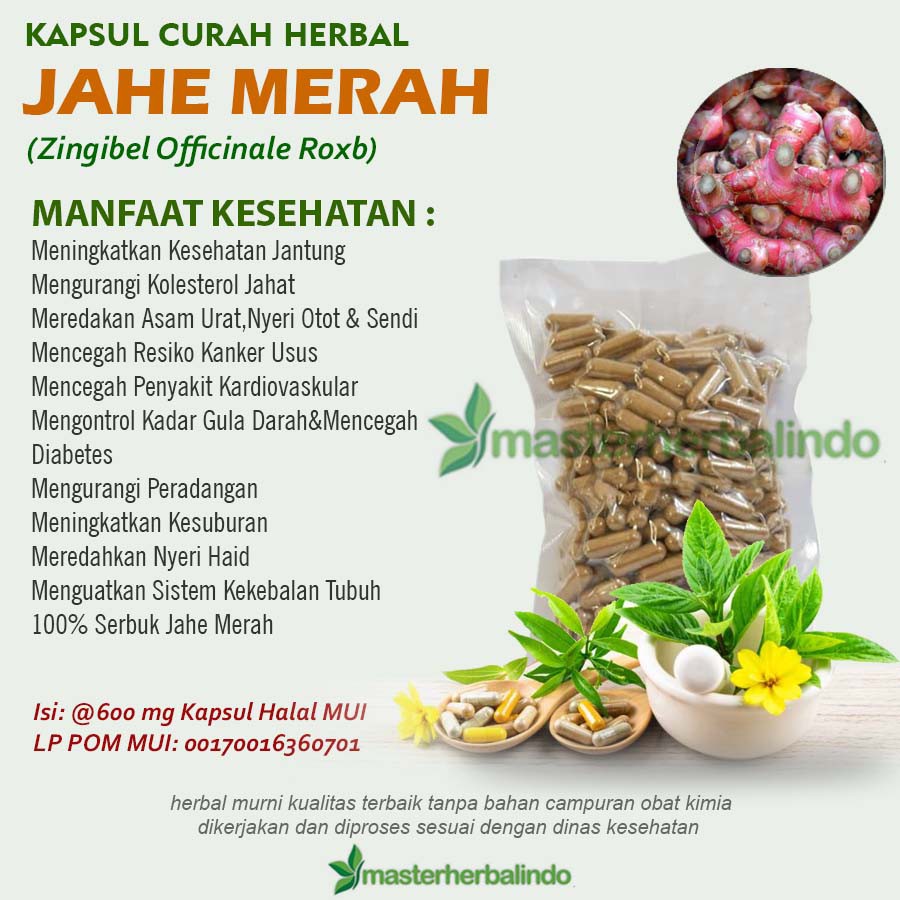 

JAHE MERAH 100 Kapsul Herbal Migrain Anti Aging Alergi Kolesterol Haid