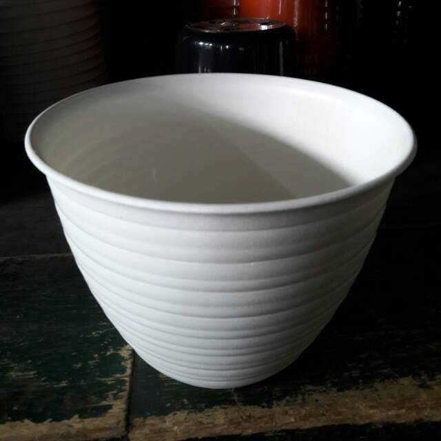  pot  tawon  10cm 1lusin Shopee Indonesia 