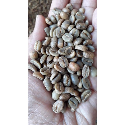 

Kopi Arabica Ijen