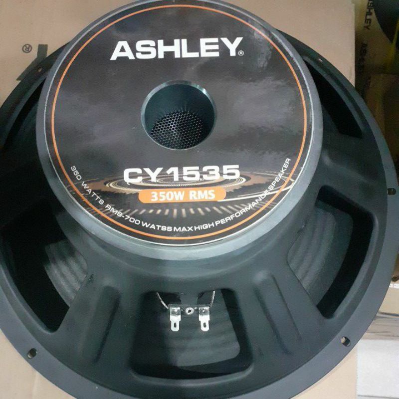 SPAKER ASHLEY CY1535