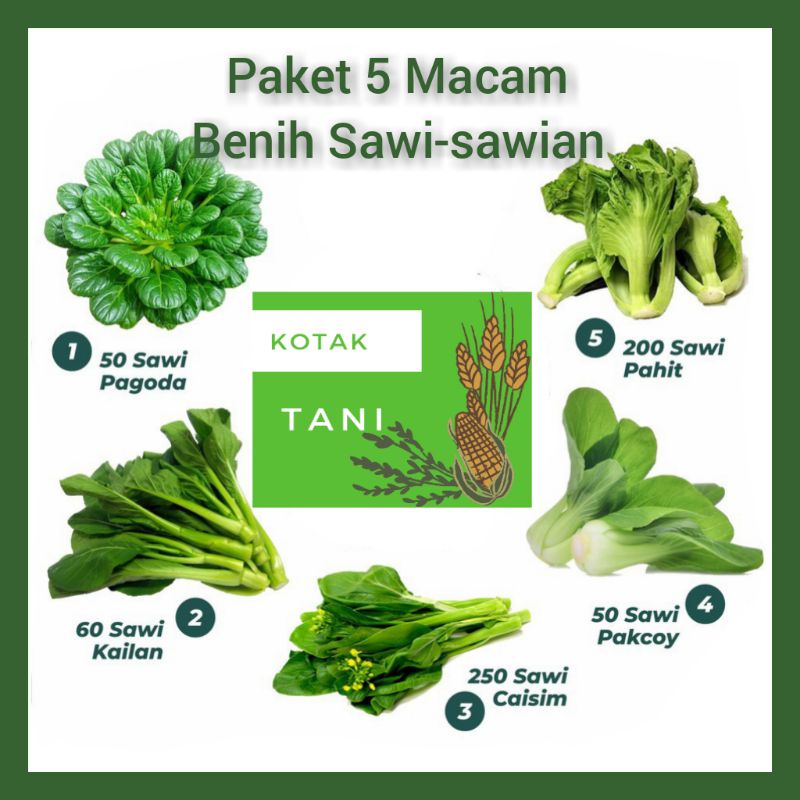 Jual Paket 5 Macam Jenis Sawi Sawian Sawi Pakcoy Pagoda Kailan