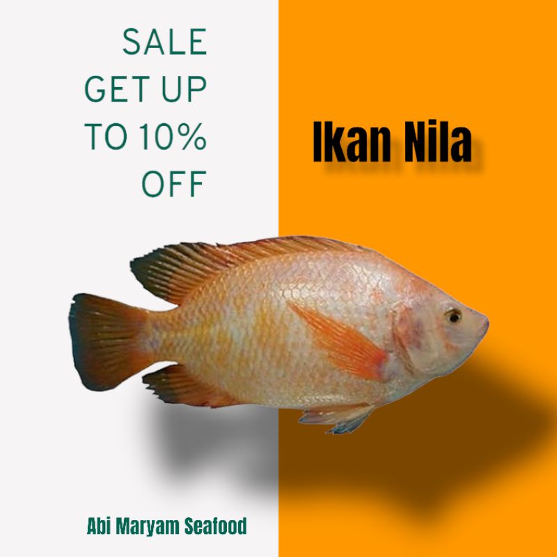 

Ikan Nila Fresh Berkualitas 1kg