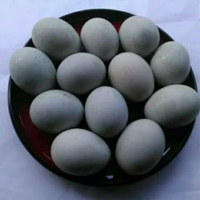 

Telur Asin Rebus Khas Brebes