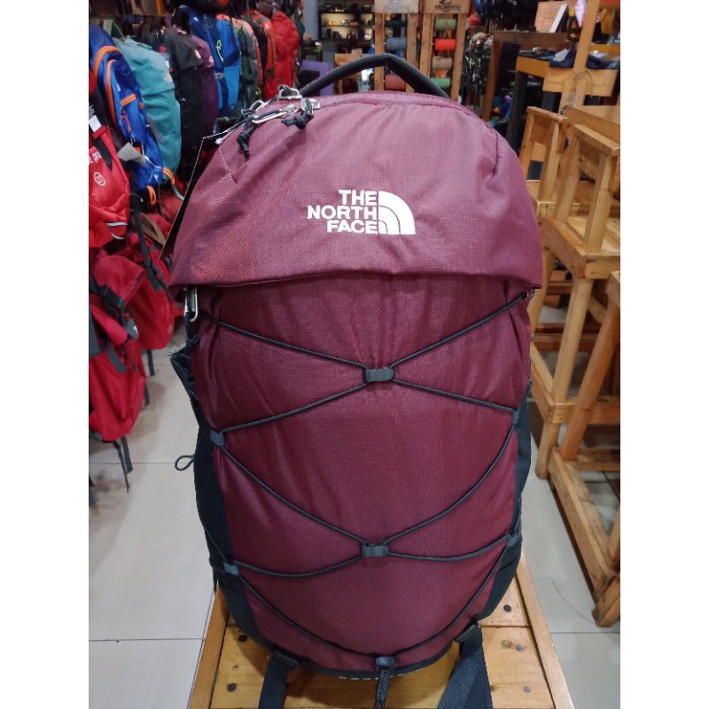 Daypack TNF borealis 28L Original