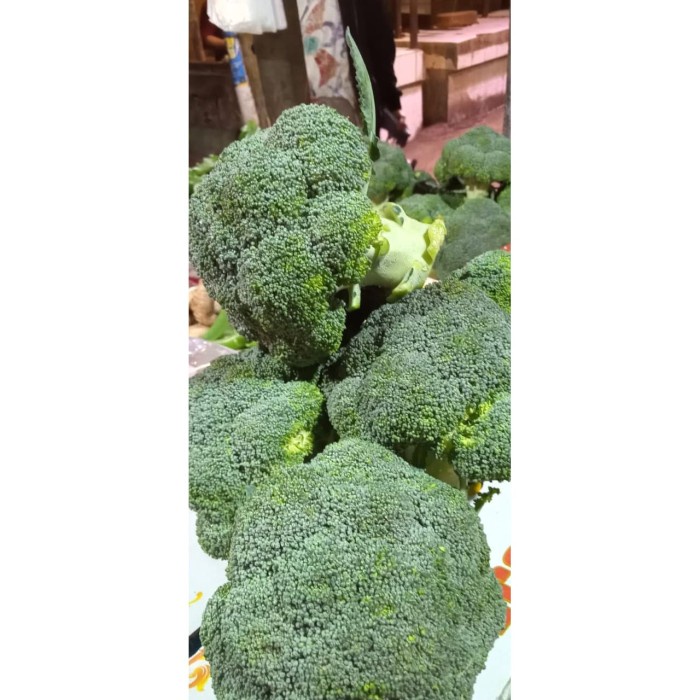 

brokoli import fresh [broccoli import]