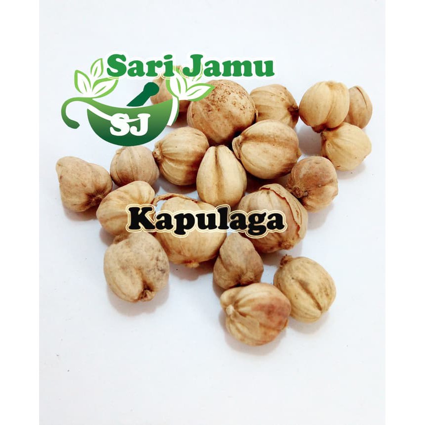 

Jamu Herbal Tradisional Kapulaga 500 Gr Untuk Menyembuhkan batuk - ju1886