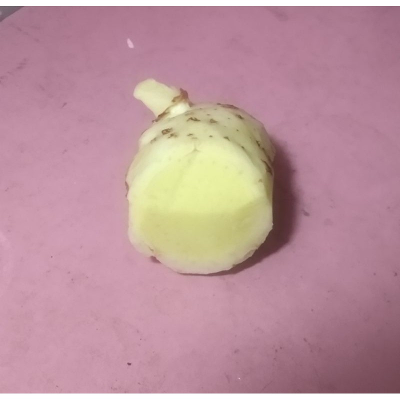 

kunyit Putih/temu Putih 1kg