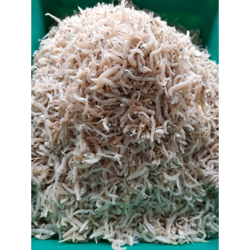 

IKAN TERI NASI MEDAN KUALITAS SUPER 100 GRAM