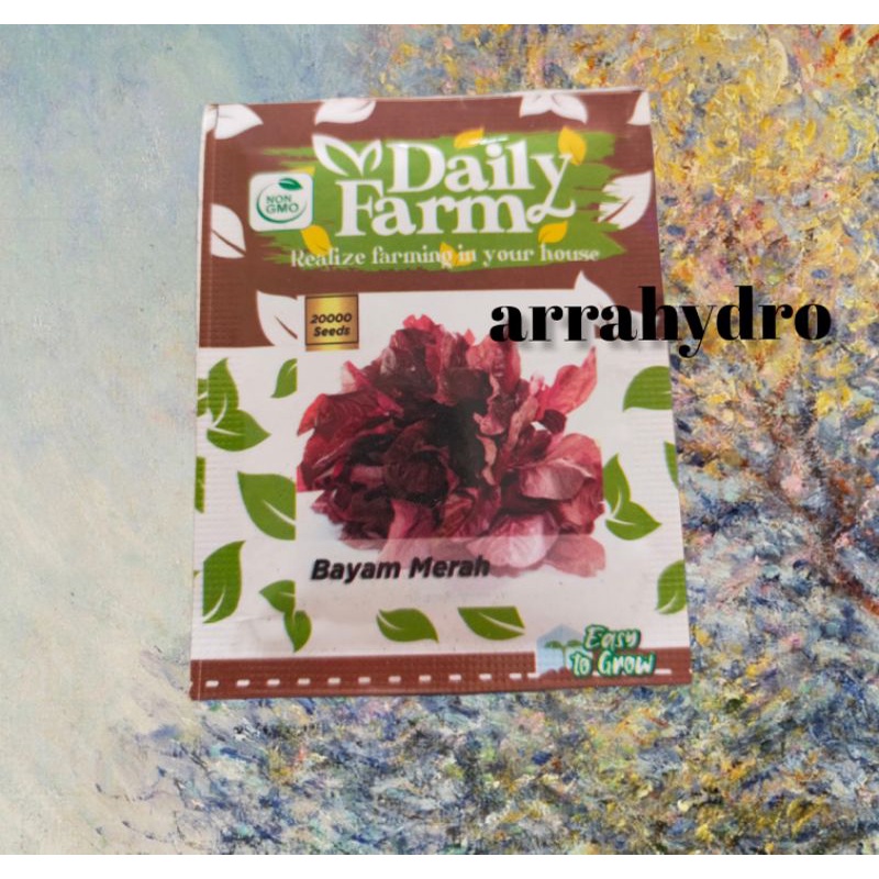 bibit bayam merah