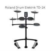 Roland / Dram Elektrik TD-1K