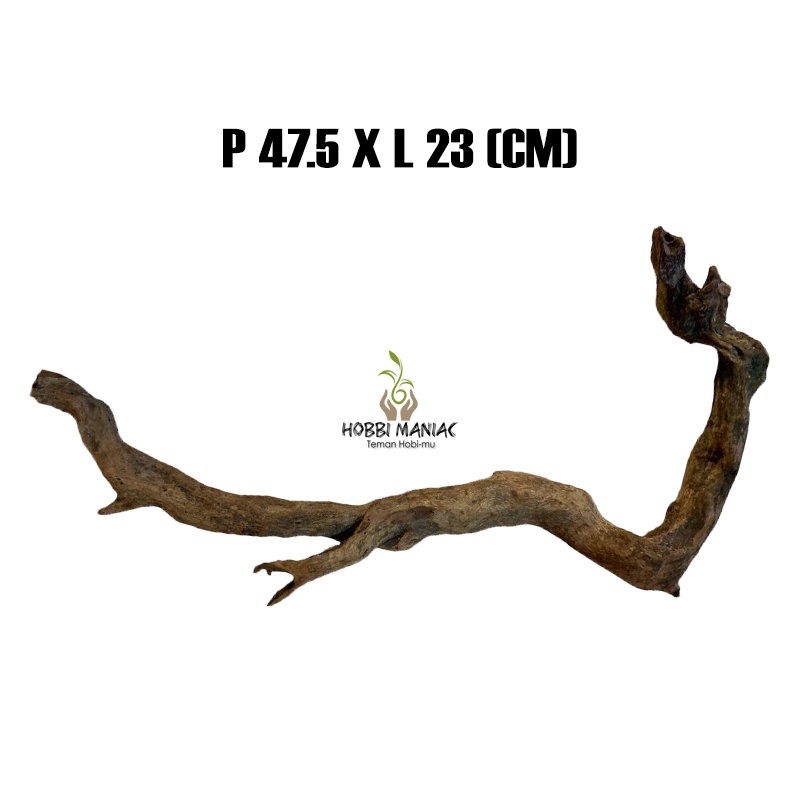 Hardscape Kayu Aquascape Santigi Gunung P 47.5 X L 23 CM