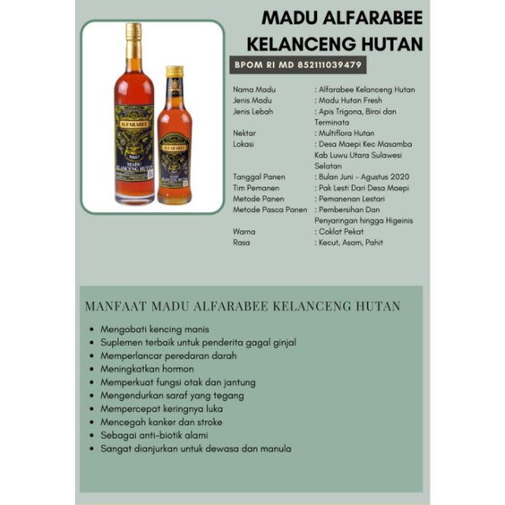 

Madu Alfarabee Kelanceng Hutan