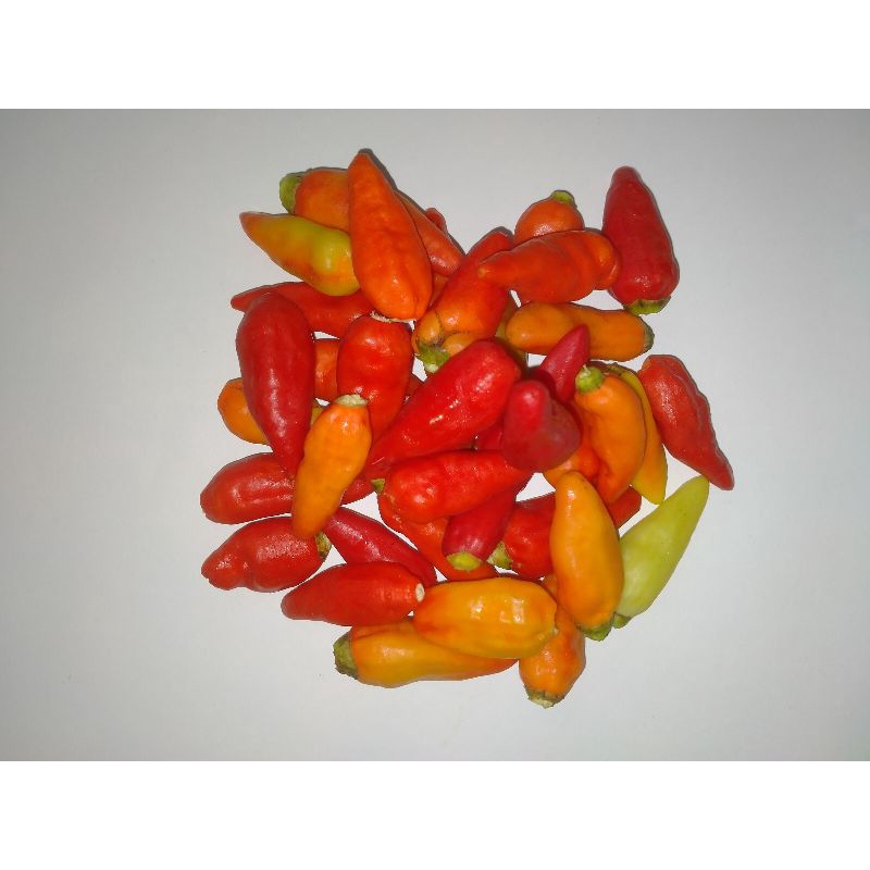 

Cabai Rawit Merah