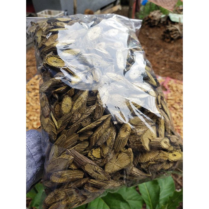 

Akar kuning khas kalimantan