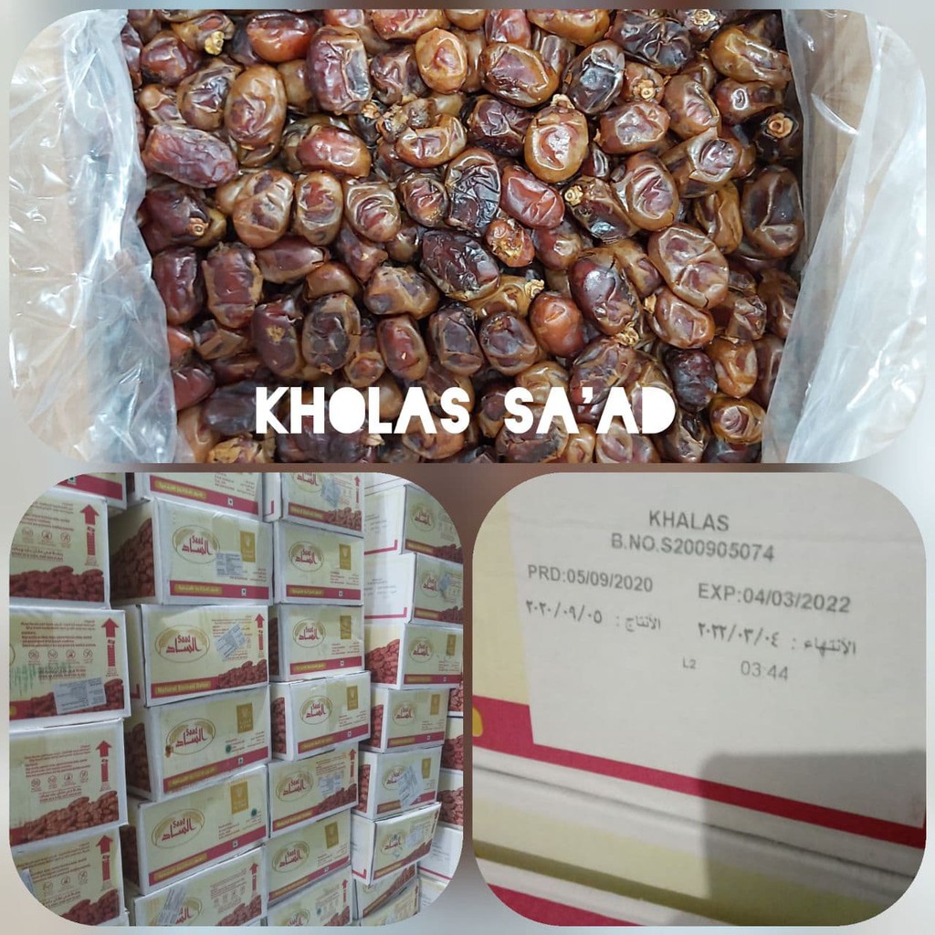 

Kurma Kholas Saad Solo
