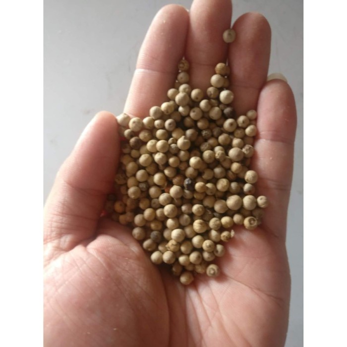 

Lada Putih Utuh Kering 250 g (1/4 kg) / Mrica Putih Asli Kwalitas Bagus