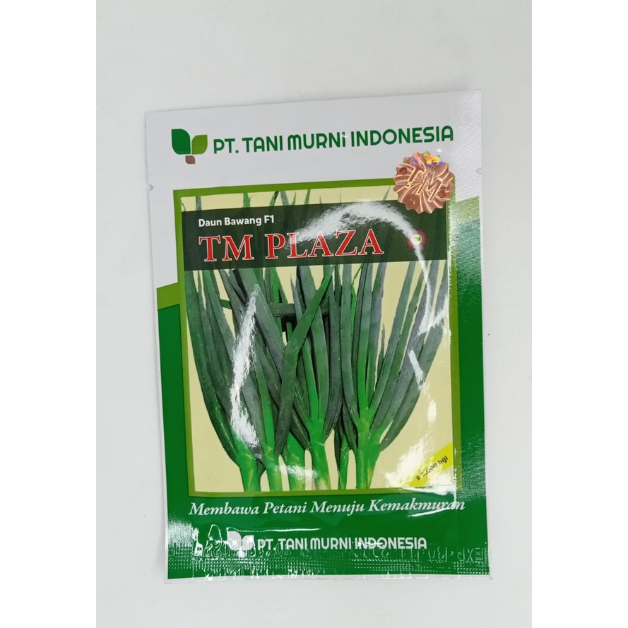 TM PLAZA +-5000 BIJI/bibit bawang daun super/benih bawang daun/biji bawang daun