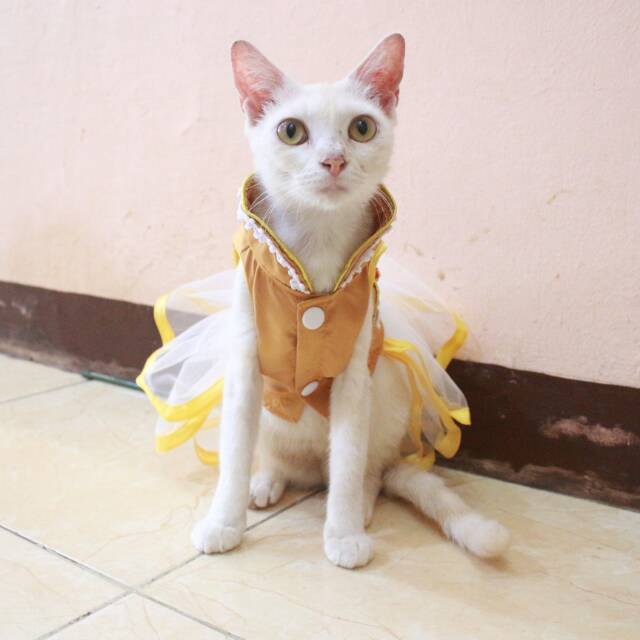 Dress shanghai gold imlek 2019 dress lucu untuk kucing dan anjing size S M L XL