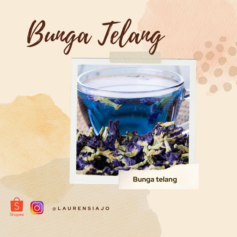 

Bunga telang kering 10gram