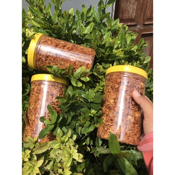 

BAGOR(Bawang merah)