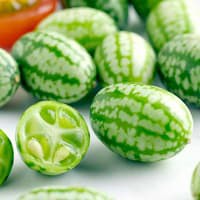 Benih Bibit Biji - Buah Cucamelon (Semangka Anggur) Melothria scabra Seeds - IMPORT