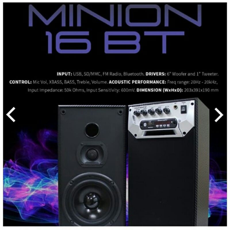 speaker Roadmaster minion 16BT