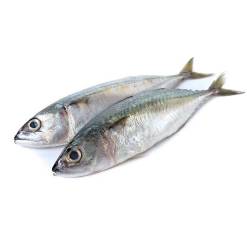 

Ikan Kembung Banjar 500gram Beku Kapal