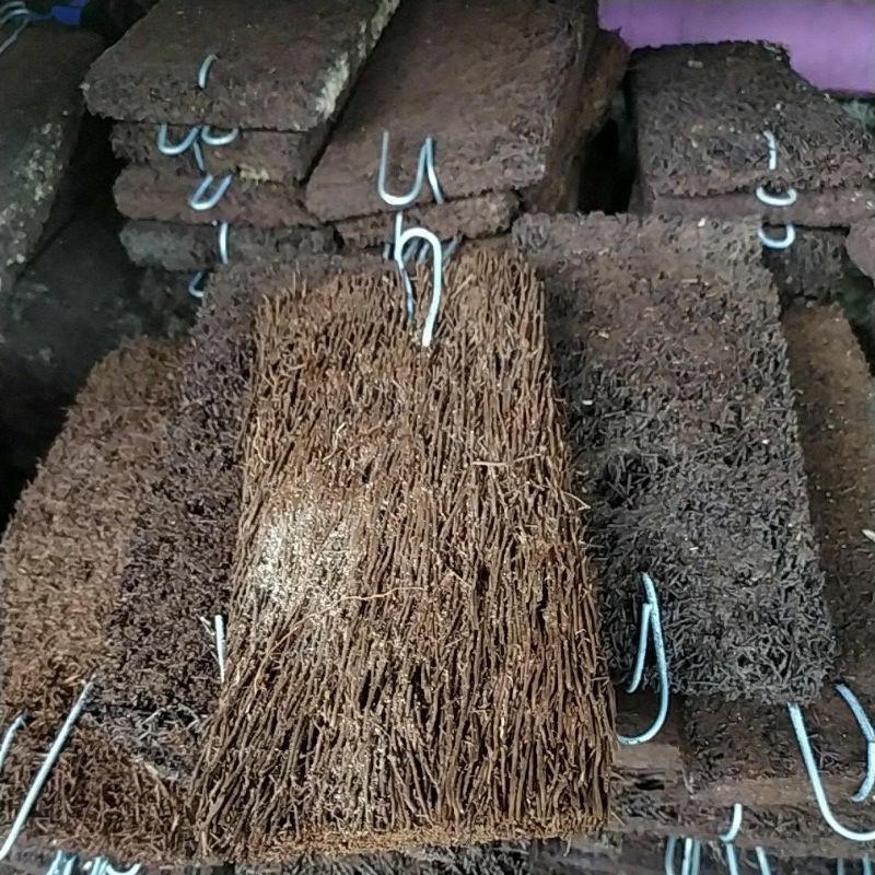 Media Tempel  anggrek papan pakis+kawat gantung