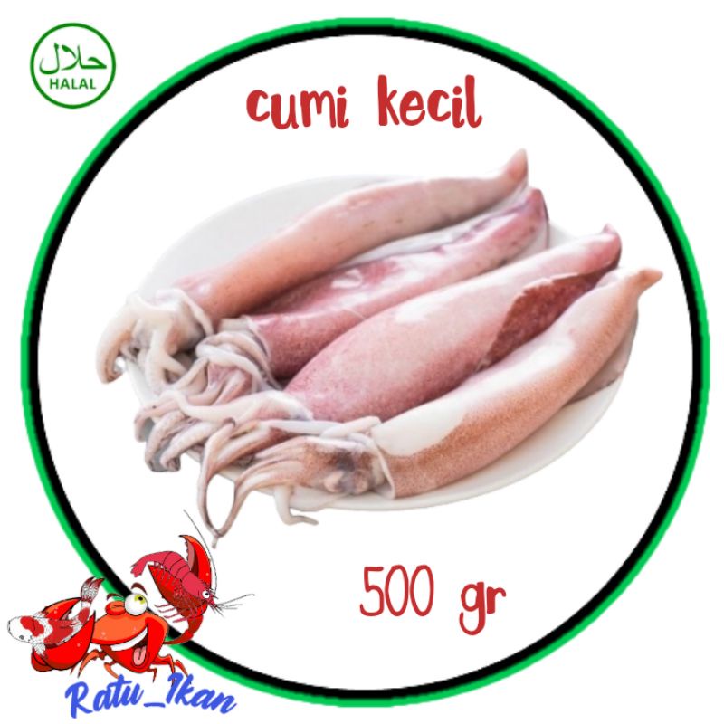 

cumi kecil [500gram] ratu ikan