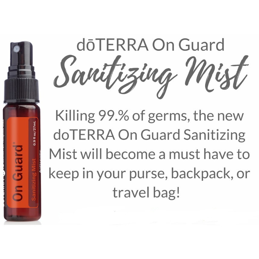 ON GUARD MIST SANITIZING MIST ANTI KUMAN VIRUS