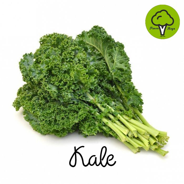 

SAYURAN / KALE [250GR]