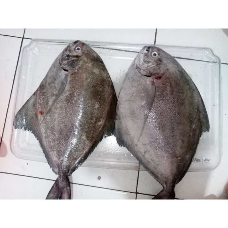 

MURAHHH IKAN BASAH LAUT !!!