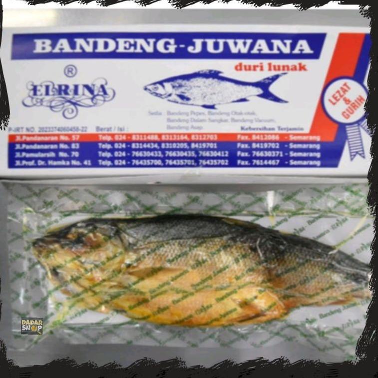 

Produk Premium.. Bandeng Juwana Elrina Vacuum Kering Khas Semarang (Presto Duri Lunak) YMA