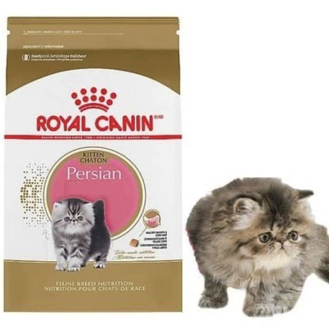 Royal Canin Persian Kitten 400gr Makanan Kucing