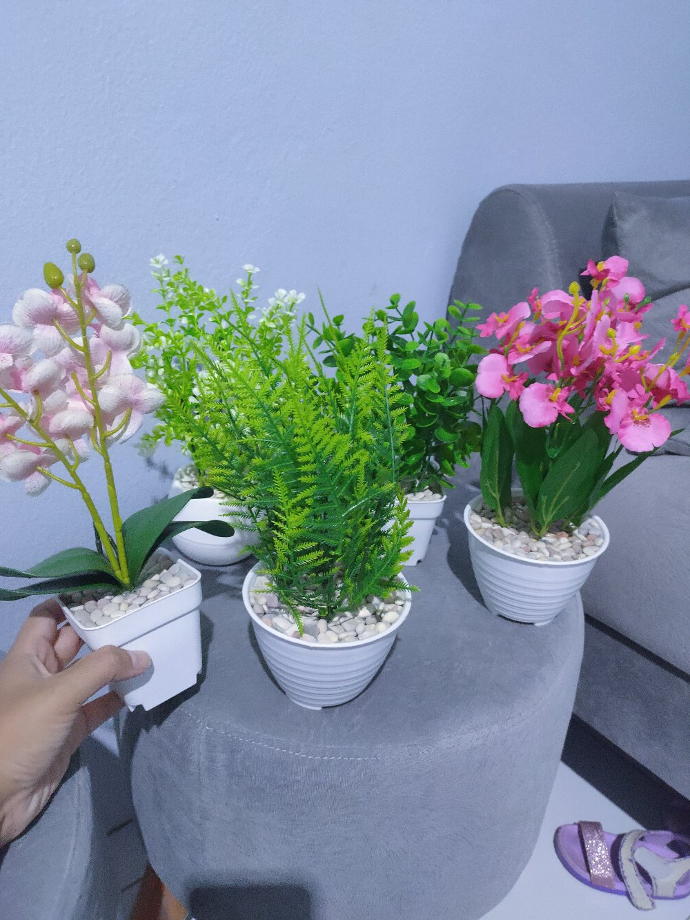 tawon Anggrek oncidium golden shower artificial