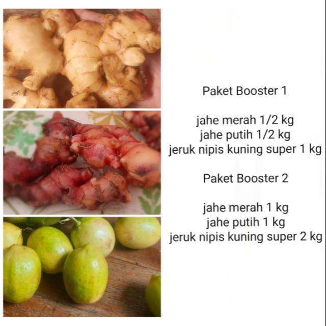 

Paket Booster 1 (jahe merah jahe putih jeruk nipis)