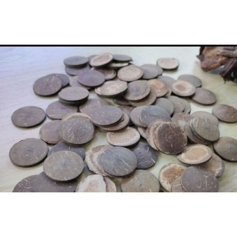 tatakan moss bonsai aquascape aquarium 2.5cm