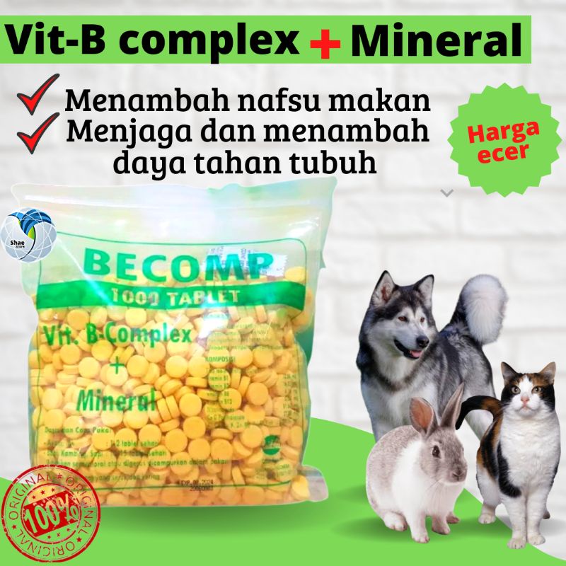 Vitamin B Complex Dan Mineral Untuk Kucing Anjing  shaestore15