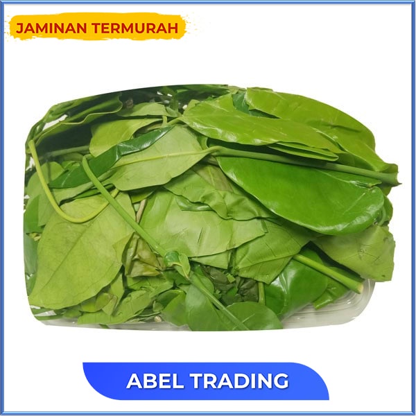 

DAUN MELINJO PACK 200 GR