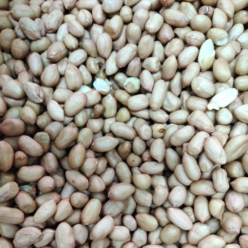 Kacang Tanah Tuban / Kacang Tanah Mentah / Kacang Tanah 250gr